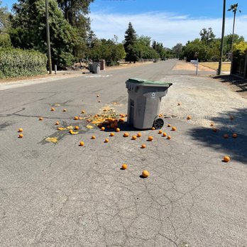 Republic Services Los Banos - Dumpster Rental Near Me - Los Banos, California Republic Services Los Banos - Dumpster Rental Near Me - Los Banos, California