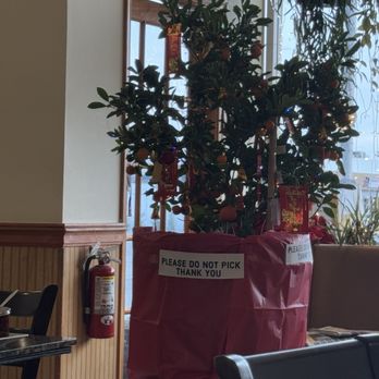 Pho Cali - Vietnamese Near Me - Wilmington, Delaware