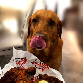 Eugene's Hot Chicken - Tasty fried chicken - Chicken Wings Near Me - Hoover,, Alabama Eugene's Hot Chicken - Tasty fried chicken - Chicken Wings Near Me - Hoover,, Alabama