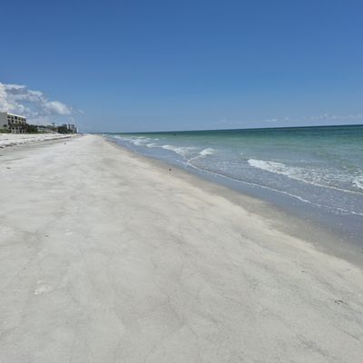 Longboat Key by null