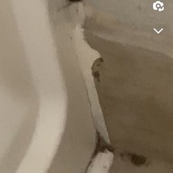 Red Roof Inn Culpeper - Cockroach in bathroom