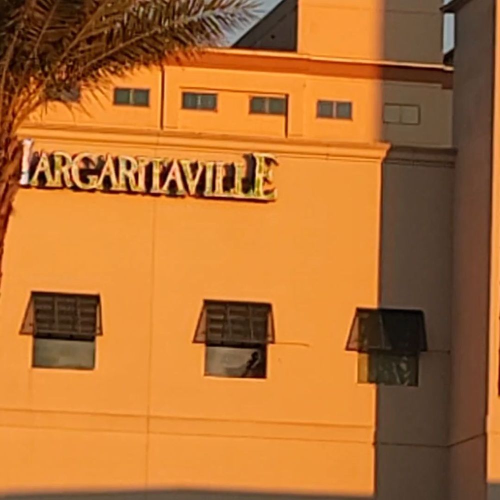 Margaritaville Restaurant - a palm tree in front of the building - New American Near Me - Biloxi, Mississippi