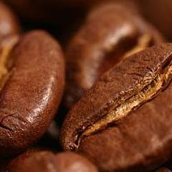 Brûlerie du Rendez-Vous - Grain de café torréfié