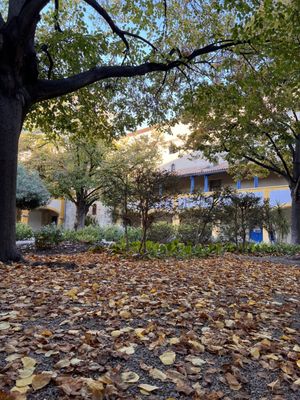 L'espace Van Gogh by null