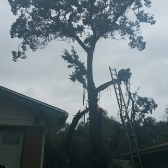 Silver Tree Care  - It was crazy how fast they worked to remove the limbs from the roof and get them down! - Tree Services Near Me