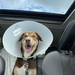 South Orange Animal Hospital