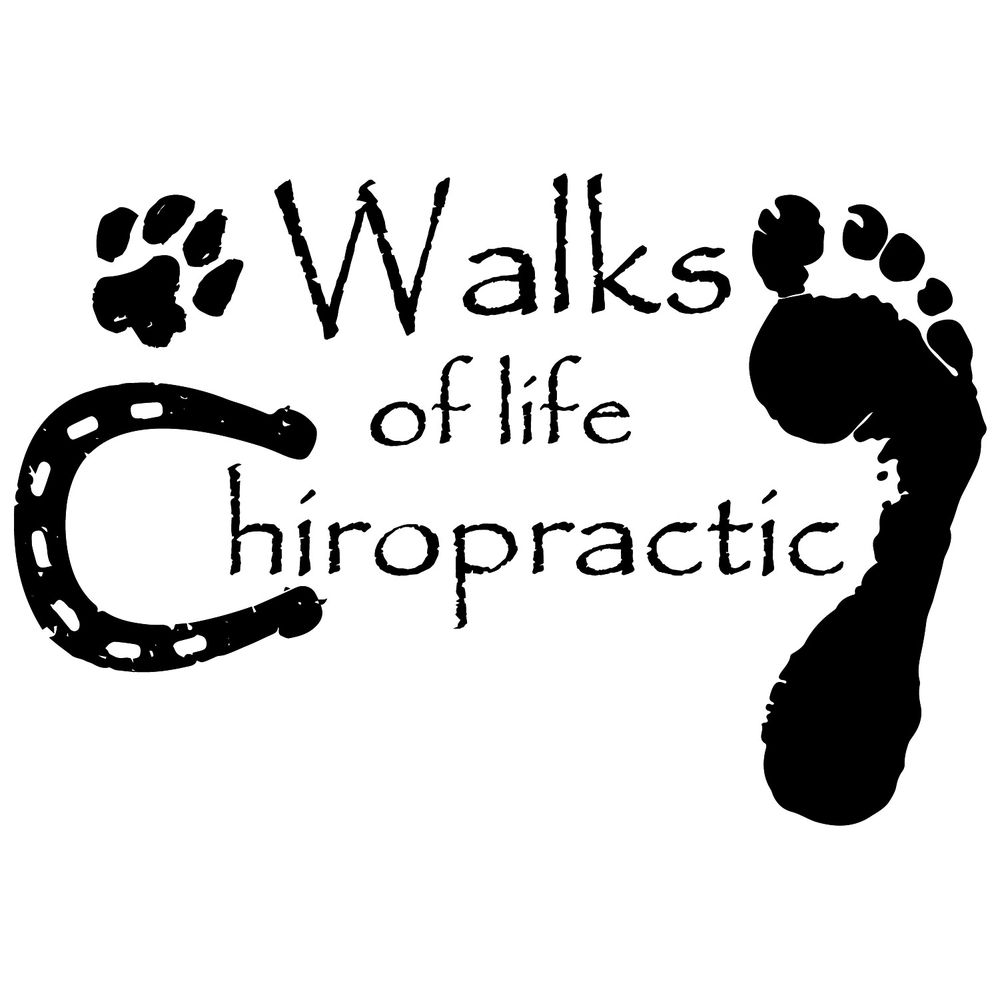 WALKS OF LIFE CHIROPRACTIC Colorado Springs, Colorado Chiropractors