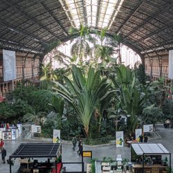 Jardín Tropical - Jardín Tropical inside Estación de Atocha, Madrid
