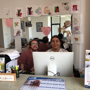 Kohn Animal Hospital - The best and kindest receptionist Zoe and also vet tech in training. - Veterinarians Near Me - Northbrook, Illinois Kohn Animal Hospital - The best and kindest receptionist Zoe and also vet tech in training. - Veterinarians Near Me - Northbrook, Illinois