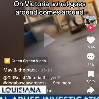 Cypress Arrow Cane Corso Kennels - Pet Sitting Near Me - Lena, Louisiana Cypress Arrow Cane Corso Kennels - Pet Sitting Near Me - Lena, Louisiana