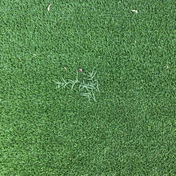Always Green Turf - Artificial Turf Near Me - Mesa, Arizona Always Green Turf - Artificial Turf Near Me - Mesa, Arizona