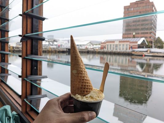 Van Diemens Land Creamery by null