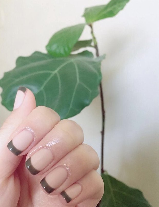 Kim Nail Nest Logo