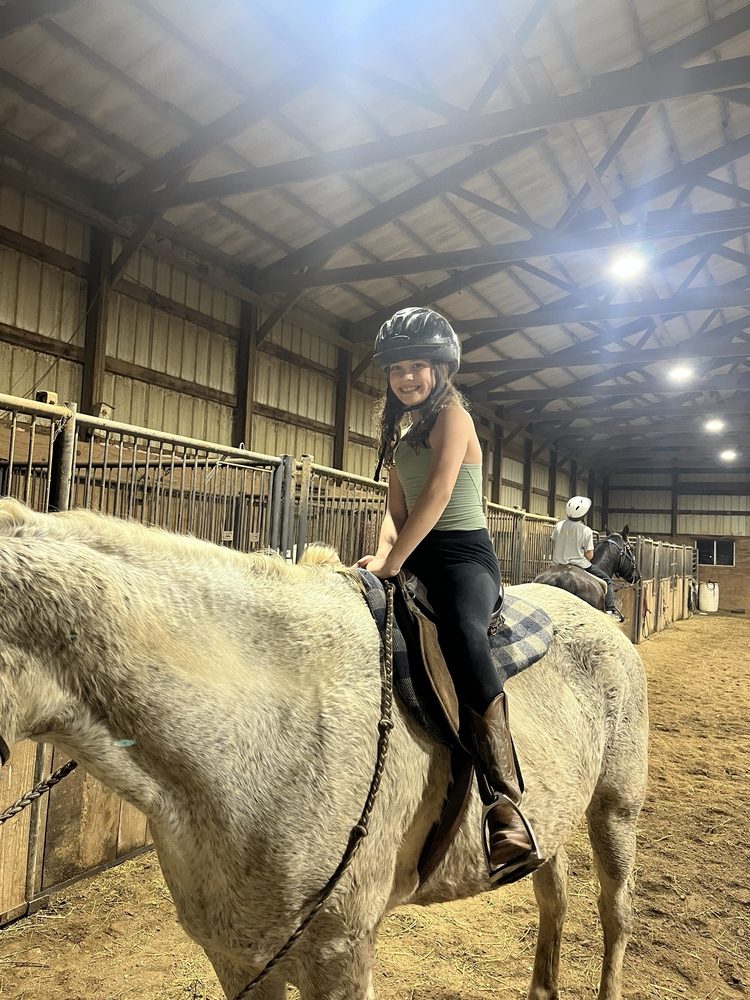 Sky Blue Stables Boarding - equestrian in East Peoria, IL