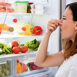 Woman with a refrigerator not cooling.