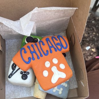 Tails in the City - Pet Stores Near Me - Chicago, Illinois Tails in the City - Pet Stores Near Me - Chicago, Illinois