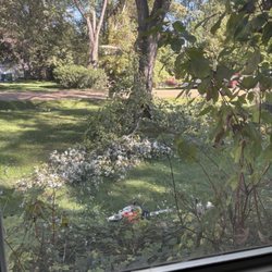Vena’s Nursery - Tree branches coming down.