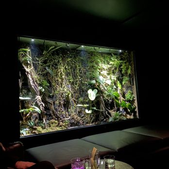Undercote - Biowall - Speakeasies Near Me - New York, New York