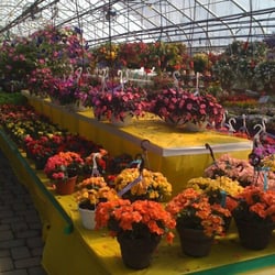 Matawan World of Gardening - More plants