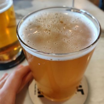 Degrees Plato - Lutari Berliner Weisse (16 oz, $7) - Tacos Near Me - Oakland, California Degrees Plato - Lutari Berliner Weisse (16 oz, $7) - Tacos Near Me - Oakland, California
