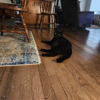 Cathy's Critter Care - Pet Sitting Near Me Cathy's Critter Care - Pet Sitting Near Me
