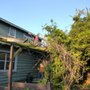 Photo of Leander Tree Service