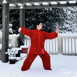 Seeking Tai Chi - Practicing on Snow 2 (2017 Christmas in Seattle)