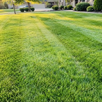 J&A Services - Absolutely life changing!! - Lawn Services Near Me