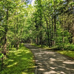 Walker Branch Greenway