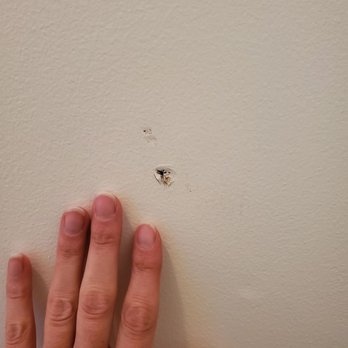 Grandson's Moving - Another gouge in the wall they caused - Movers Near Me - Albany, New York