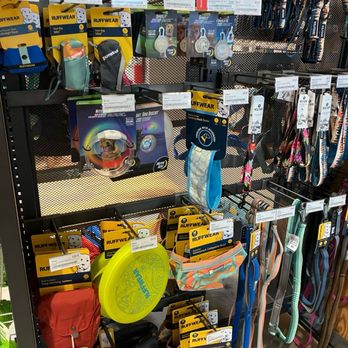 REI - Dog goodies! - Bikes Near Me - Tampa, Florida