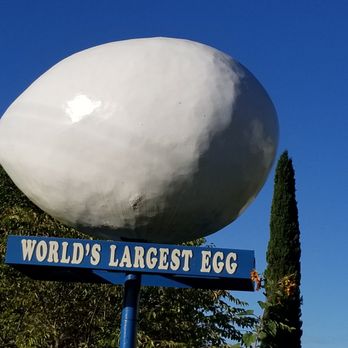 Boss Hogg's BBQ & Catering - World's Largest Egg in Winlock, WA (near Boss Hogg's BBQ) - Barbeque Near Me - Winlock, Washington