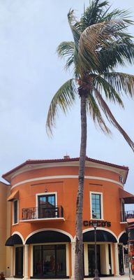 Coconut Point by null