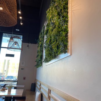 Poke House - Centennial - Greenery in Lobby - Poke Near Me - Centennial , Colorado Poke House - Centennial - Greenery in Lobby - Poke Near Me - Centennial , Colorado