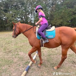 Firefly Equestrian