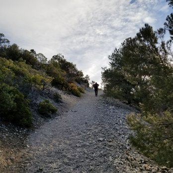 Eagles Nest Trail - Hiking Near Me - Mount Charleston, Nevada