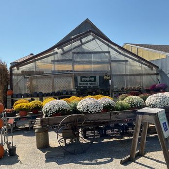Pendleton's Country Market - Fruits & Veggies Near Me - Lawrence, Kansas Pendleton's Country Market - Fruits & Veggies Near Me - Lawrence, Kansas