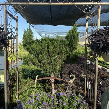 Calloway's Nursery - Nurseries & Gardening Near Me - Fort Worth, Texas Calloway's Nursery - Nurseries & Gardening Near Me - Fort Worth, Texas