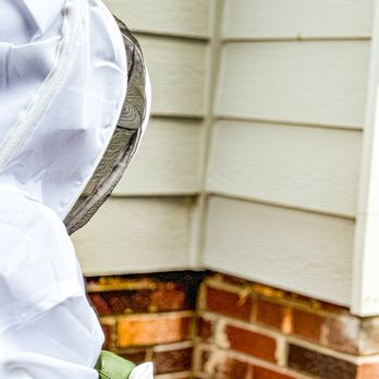 ServGuard Pest Solutions - Favorite part... let the dust do the work! - Pest Control Near Me - Mocksville, North Carolina ServGuard Pest Solutions - Favorite part... let the dust do the work! - Pest Control Near Me - Mocksville, North Carolina