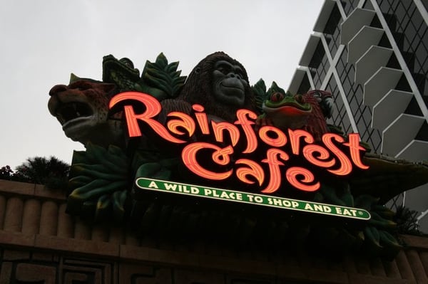 Rainforest Cafe by null