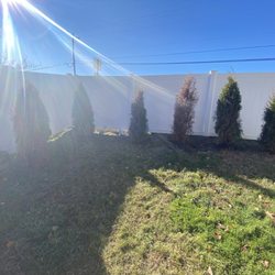 Mike's Tree Farm
