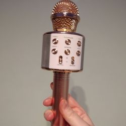 Marshalls - Microphone