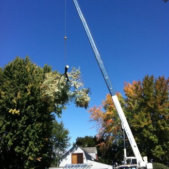 Fisher Tree Services - Tree Services Near Me - Richmond, Ontario Fisher Tree Services - Tree Services Near Me - Richmond, Ontario