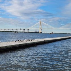 Charleston Water Taxi