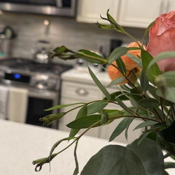 UrbanStems - Black leaves. - Florists Near Me UrbanStems - Black leaves. - Florists Near Me