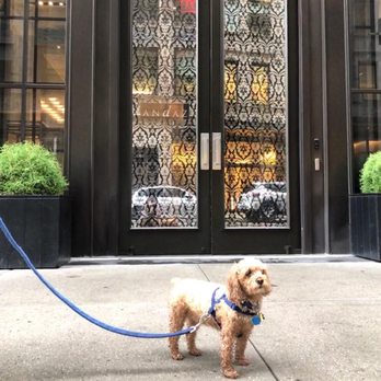 Andaz 5th Avenue - Hotels Near Me - New York, New York Andaz 5th Avenue - Hotels Near Me - New York, New York