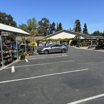 Almaden Valley Nursery - Nurseries & Gardening Near Me - San Jose, California Almaden Valley Nursery - Nurseries & Gardening Near Me - San Jose, California