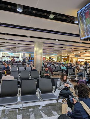 Heathrow Airport by null