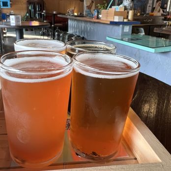 Blue Owl Brewing - Flight - Breweries Near Me - Austin, Texas