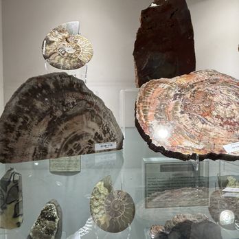 Touchstone Gallery - Art Galleries Near Me - Santa Fe, New Mexico